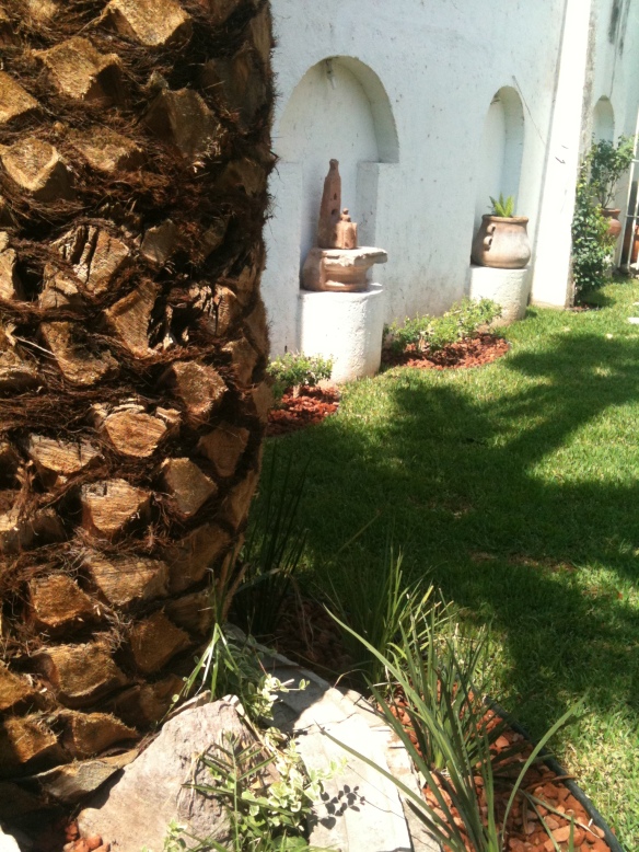 El corte de tallos y hojas es fundamental para mantener las palmeras en óptimas condiciones.